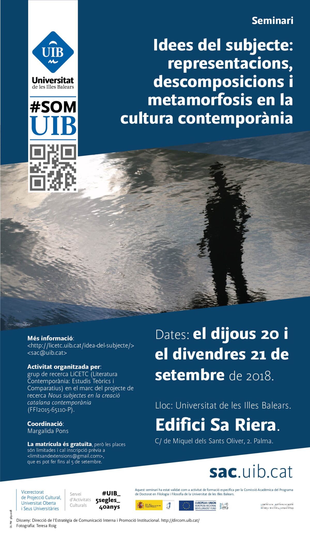 Seminari Idees del subjecte